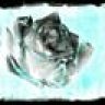R_seven