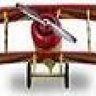 Tigermoth