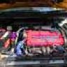 sgti81