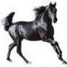 sebastien