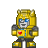 BBRAYCER