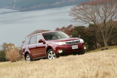 Forester2.jpg