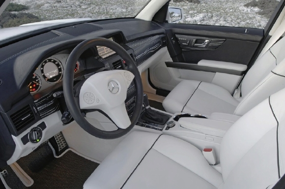 GLK10.jpg