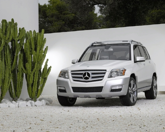 GLK3.jpg