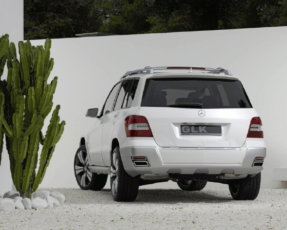 GLK4.jpg